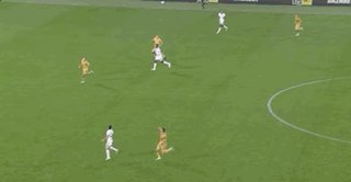 5.gif