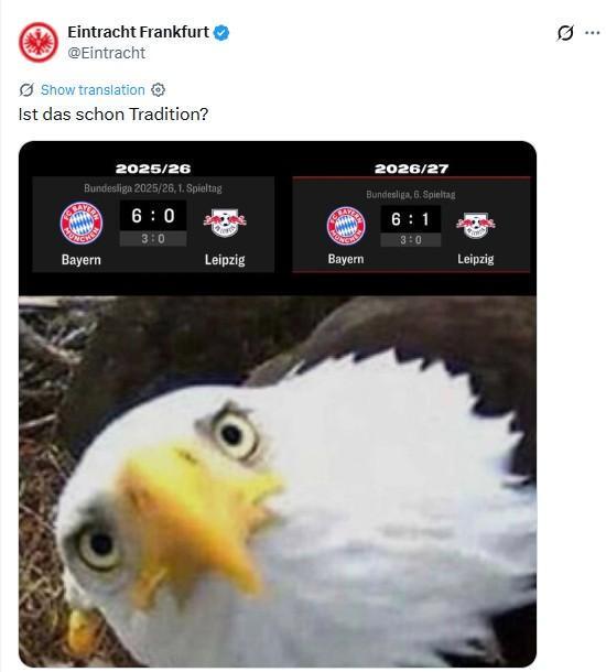 美狮贵宾会ms092021详情图